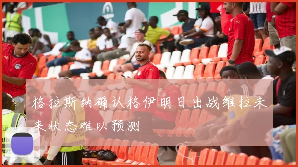 格拉斯纳确认格伊明日出战维拉未来状态难以预测